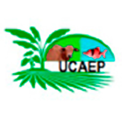 UCAEP